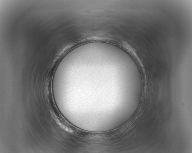 X0000080110106200612081005