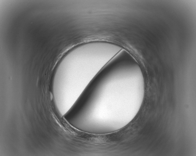 X0000080110107200612081005
