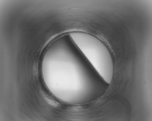 X0000080110108200612081005