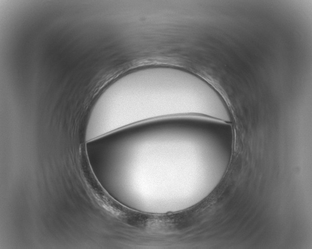X0000080110109200612081005