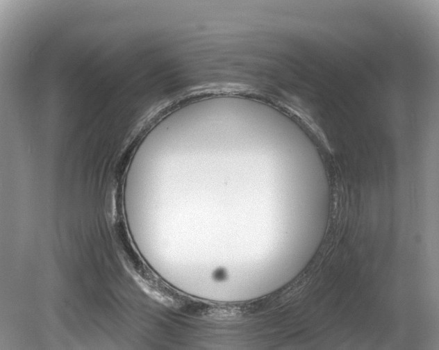 X0000080110110200612081005
