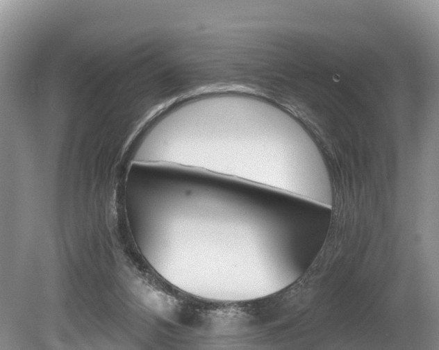 X0000080110112200612081005