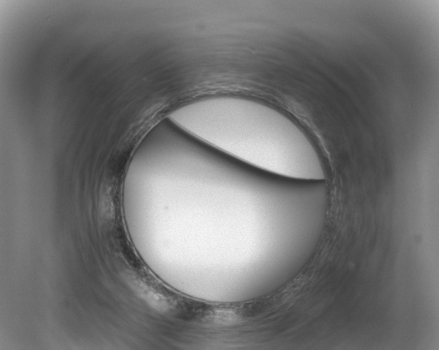 X0000080110114200612081005
