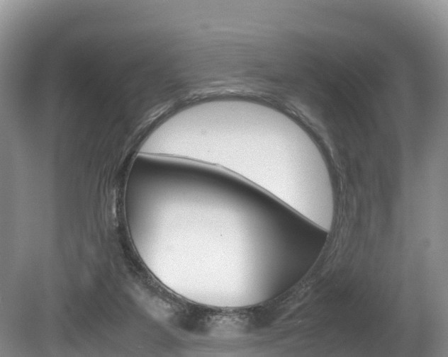 X0000080110115200612081005