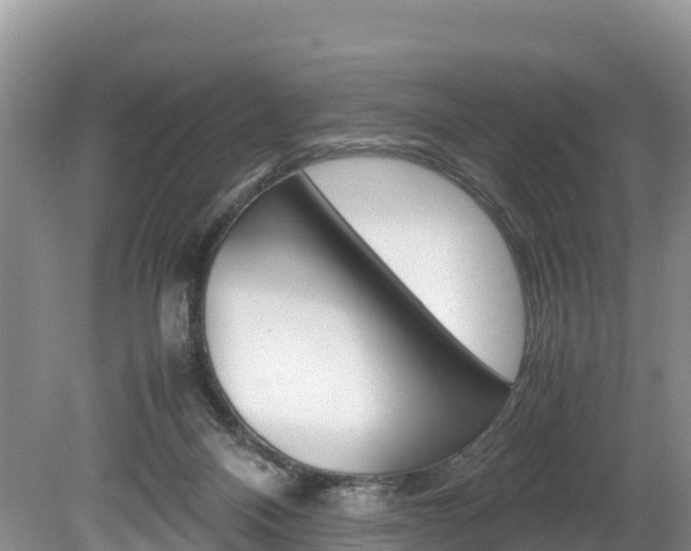 X0000080110120200612081005