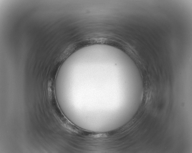 X0000080110122200612081005