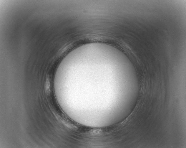 X0000080110124200612081005
