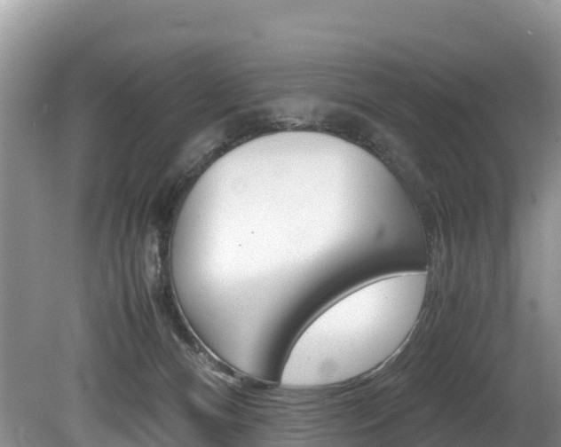 X0000080110128200612081005