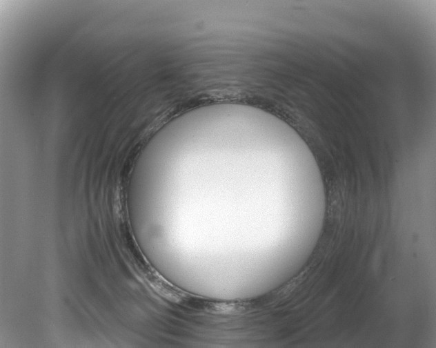 X0000080110130200612081005
