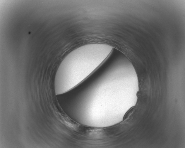 X0000080110132200612081005
