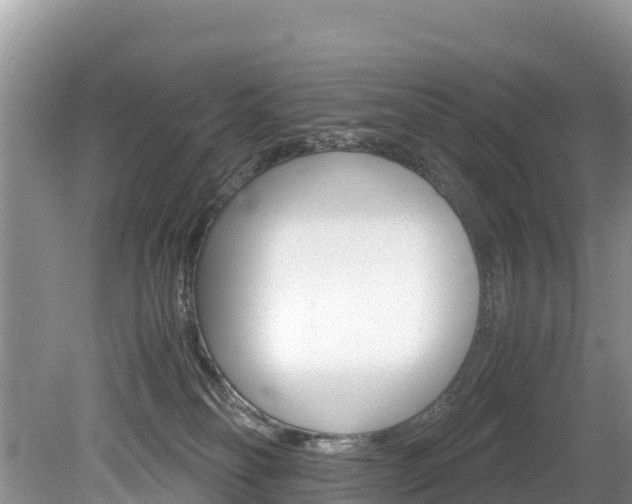 X0000080110134200612081005