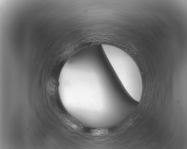 X0000080110135200612081005