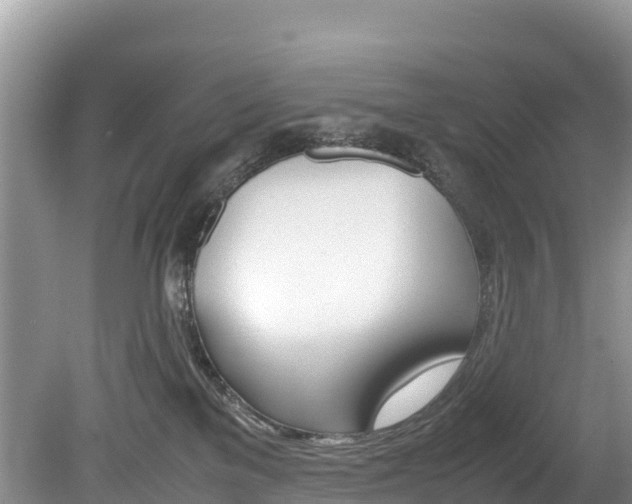 X0000080110137200612081005