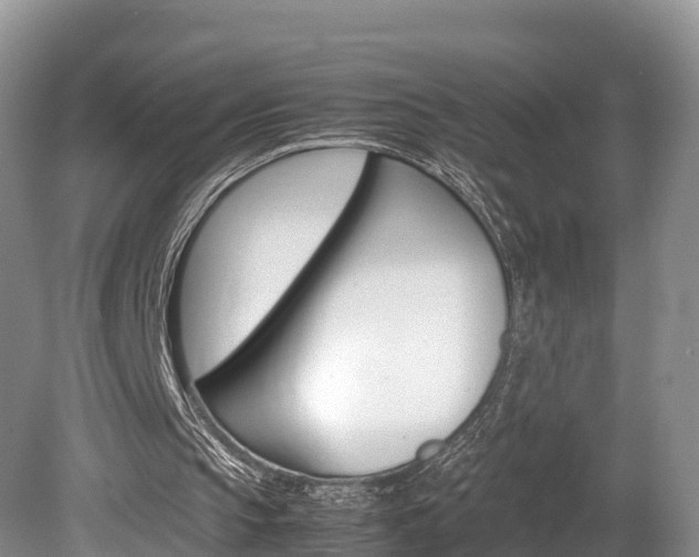 X0000080110145200612081004