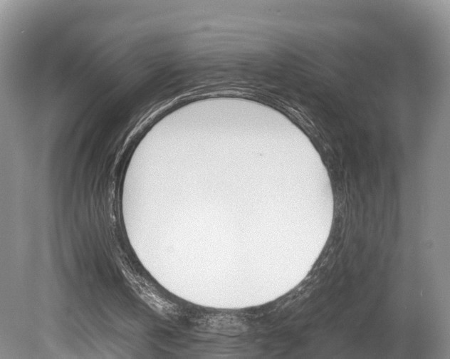 X0000080110146200612081004