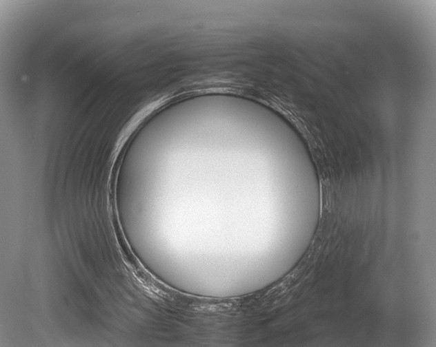 X0000080110147200612081004