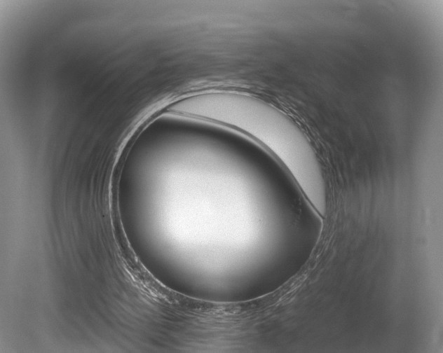 X0000080110148200612081004
