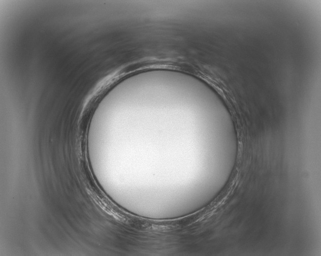 X0000080110149200612081004