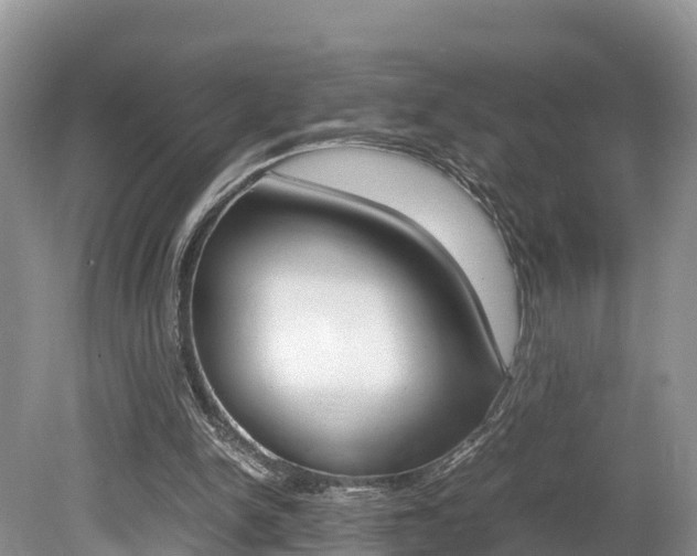 X0000080110150200612081004