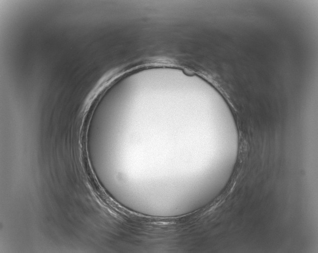 X0000080110151200612081004