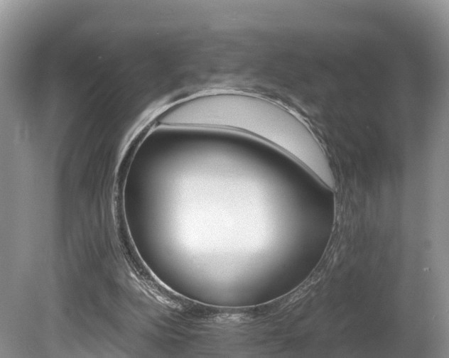 X0000080110152200612081004