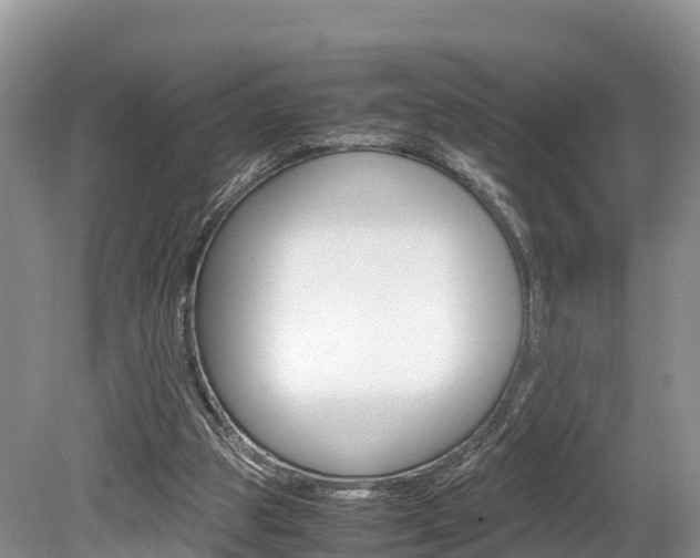X0000080110153200612081004