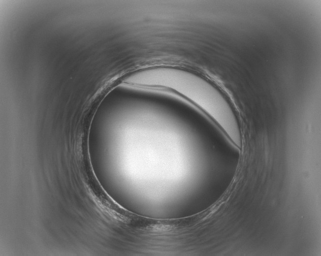X0000080110154200612081004