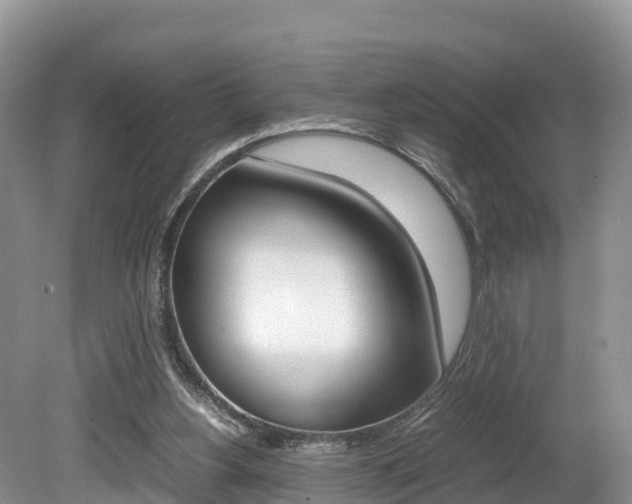 X0000080110156200612081004