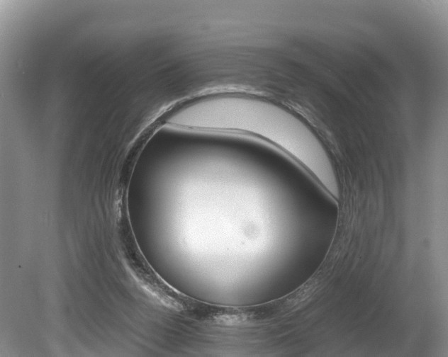X0000080110160200612081004