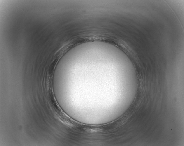 X0000080110165200612081004