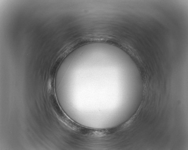 X0000080110166200612081004