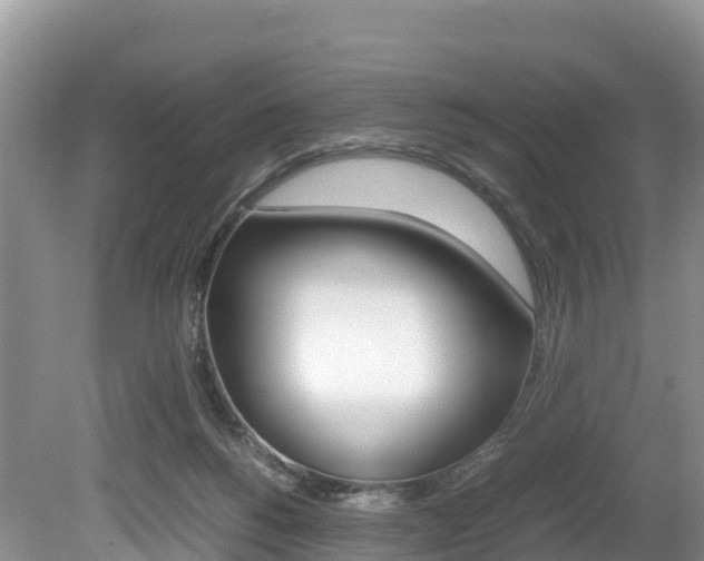 X0000080110168200612081004