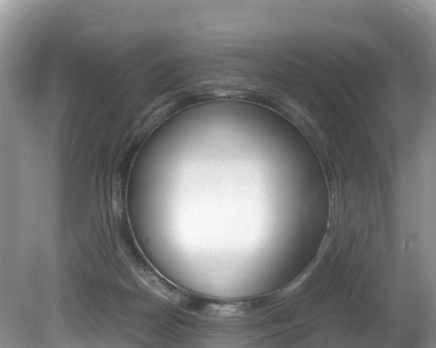 X0000080110170200612081004