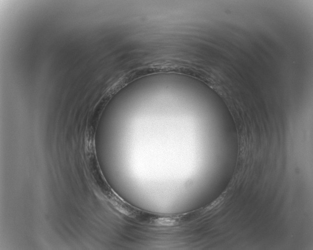 X0000080110176200612081004