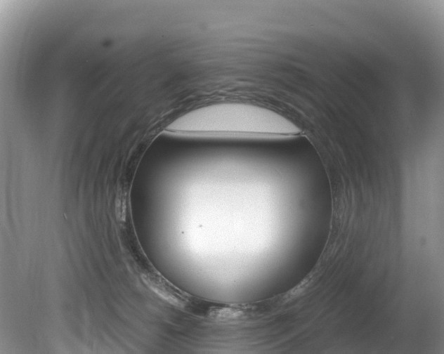 X0000080110180200612081004