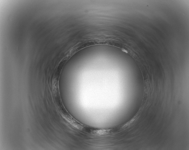 X0000080110184200612081004