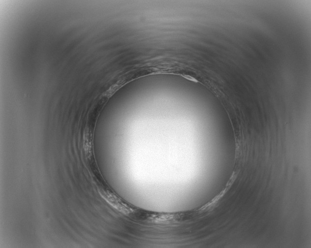 X0000080110186200612081005
