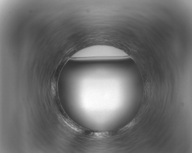 X0000080110188200612081005
