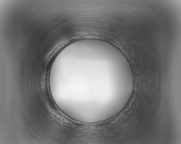 X0000080110194200612081004