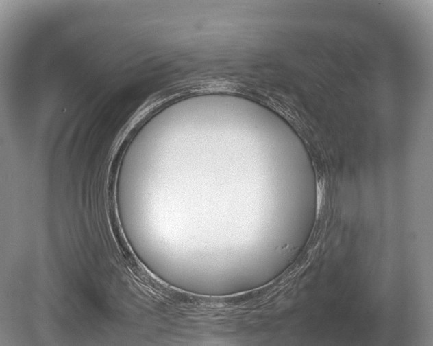 X0000080110195200612081004