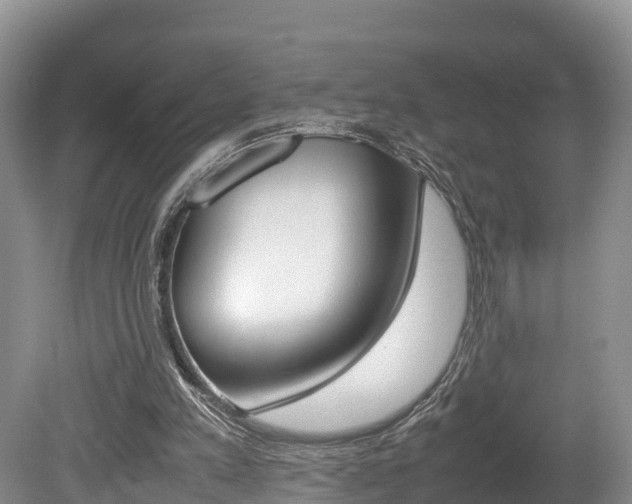 X0000080110197200612081004