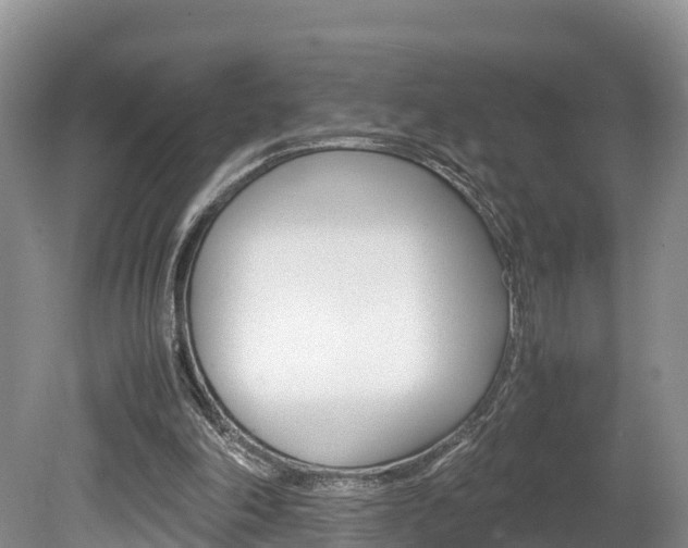X0000080110198200612081004