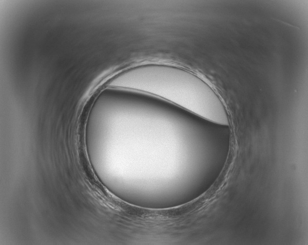 X0000080110199200612081004