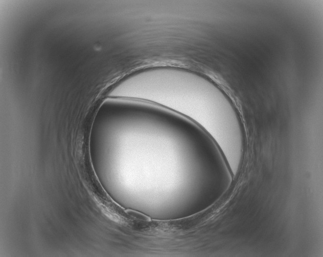 X0000080110201200612081004