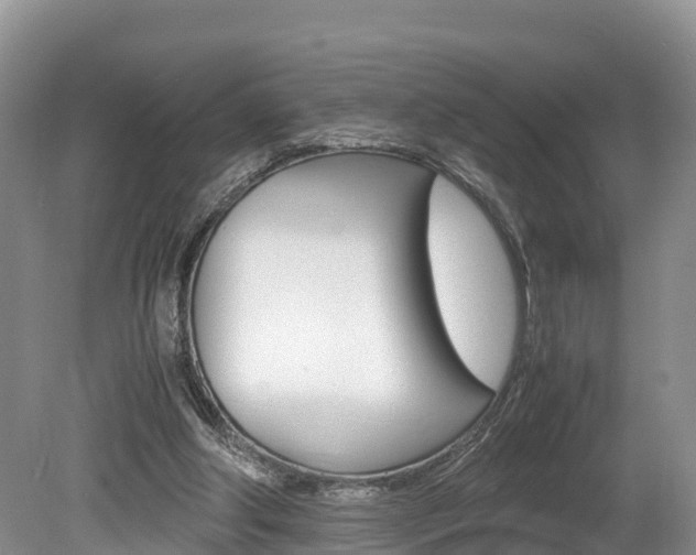 X0000080110202200612081004