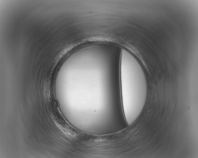 X0000080110204200612081004