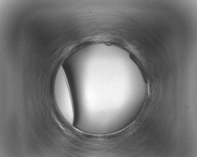 X0000080110205200612081004