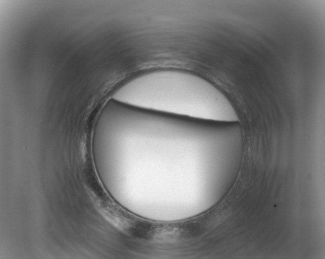 X0000080110206200612081004