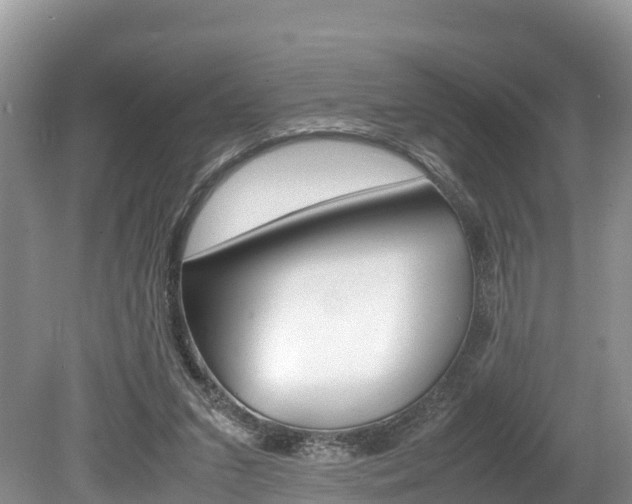X0000080110207200612081004