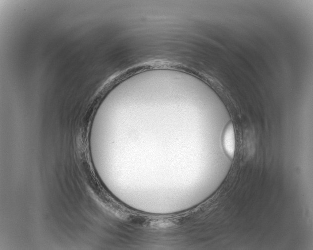 X0000080110208200612081004